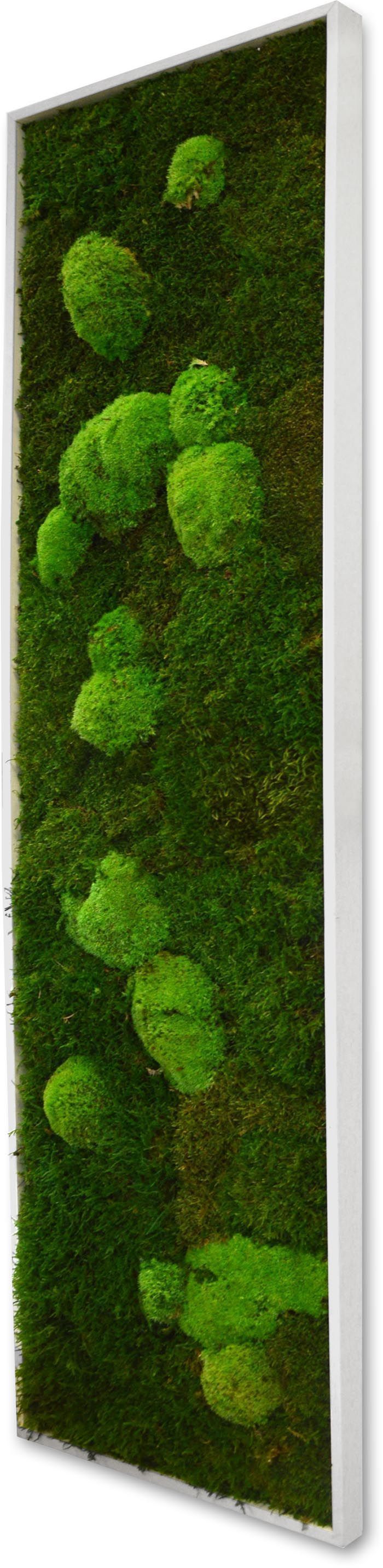 Panneau végétal mousse XL avec plantes stabilisées