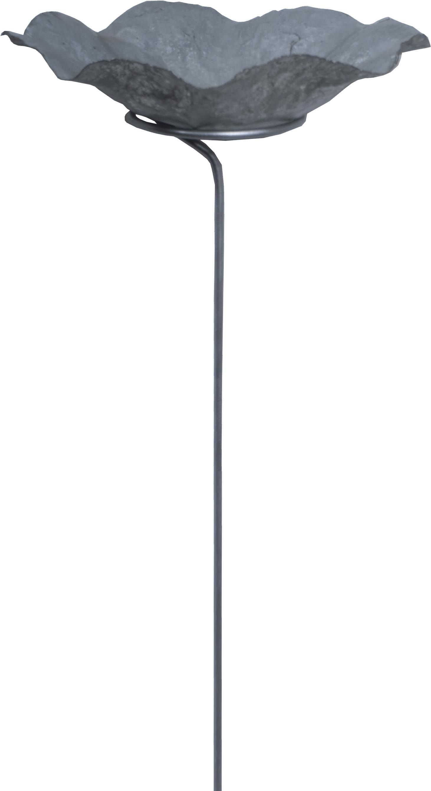 Bain oiseaux lotus avec pied