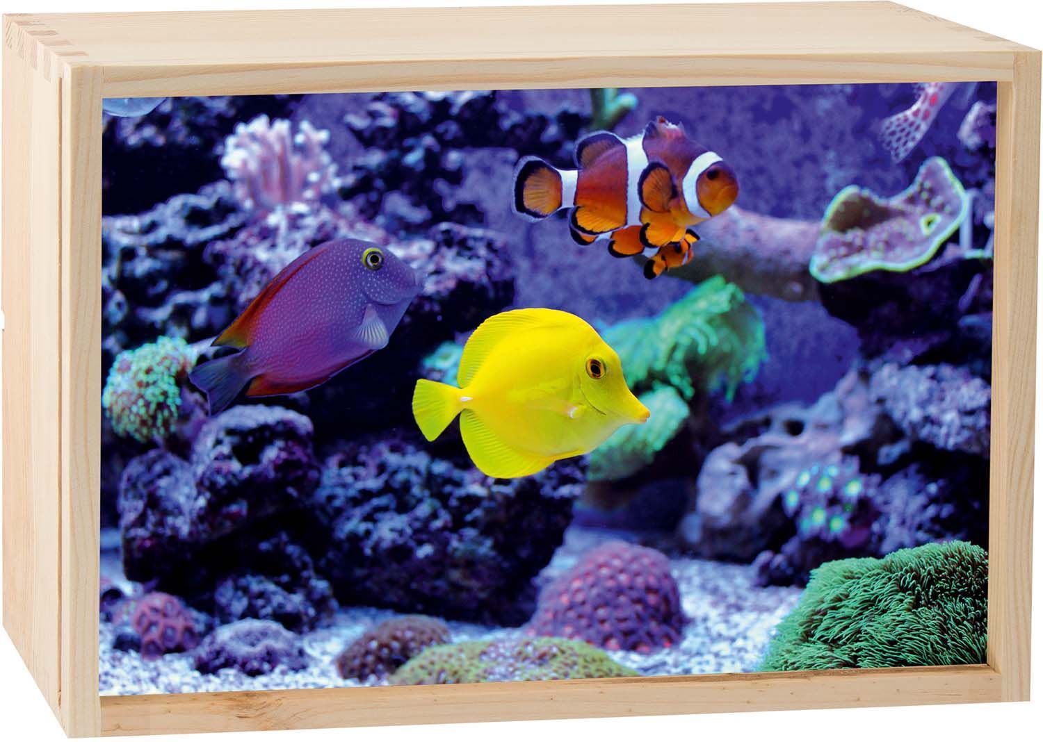 Boite lumineuse LED 30x20 cm Aquarium