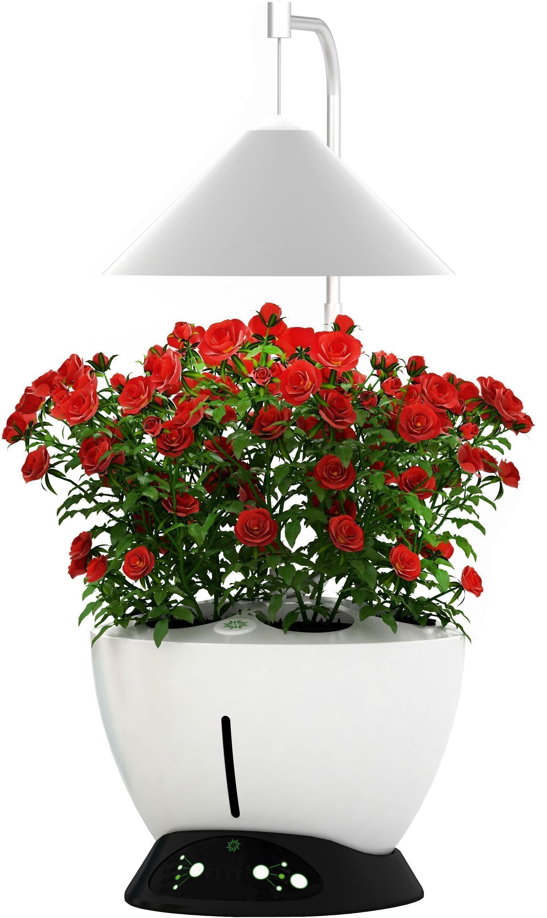 Jardinière avec lampe led intégrée Le potager