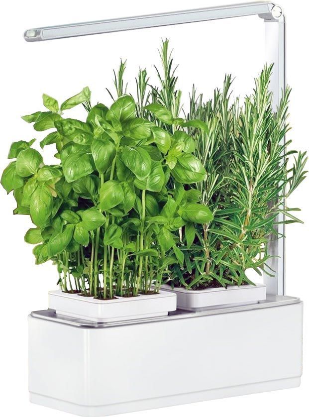 Jardinière avec lampe led intégrée Mini potager