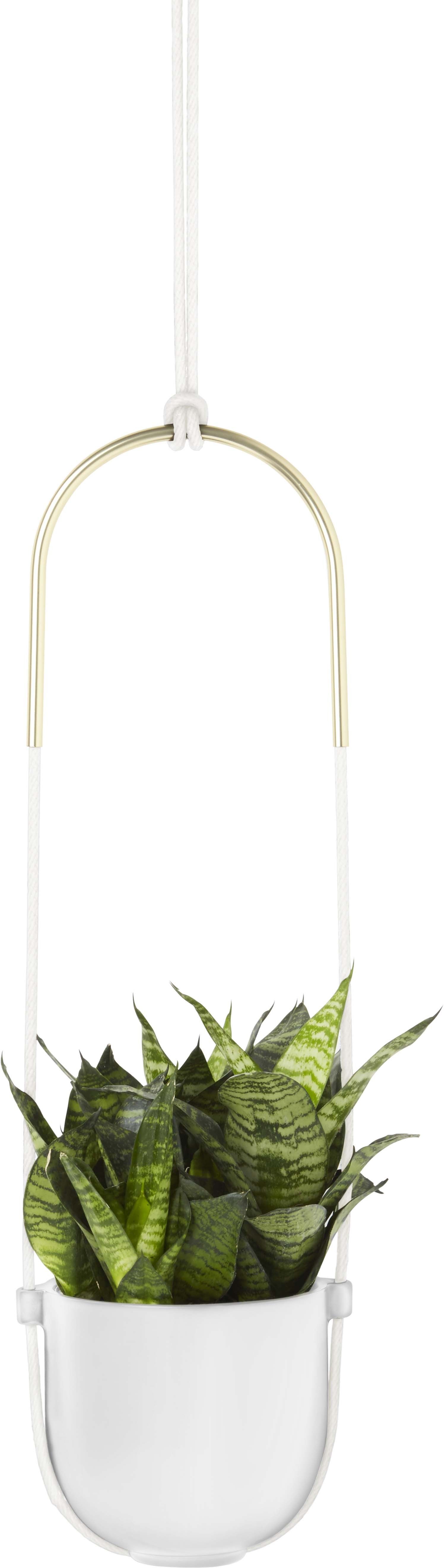 Support à plantes en céramique Bolo