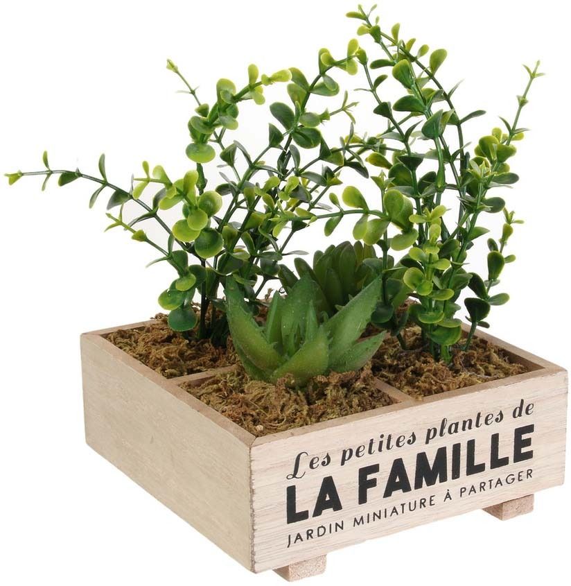 Plante artificielle Les petites plantes de la famille