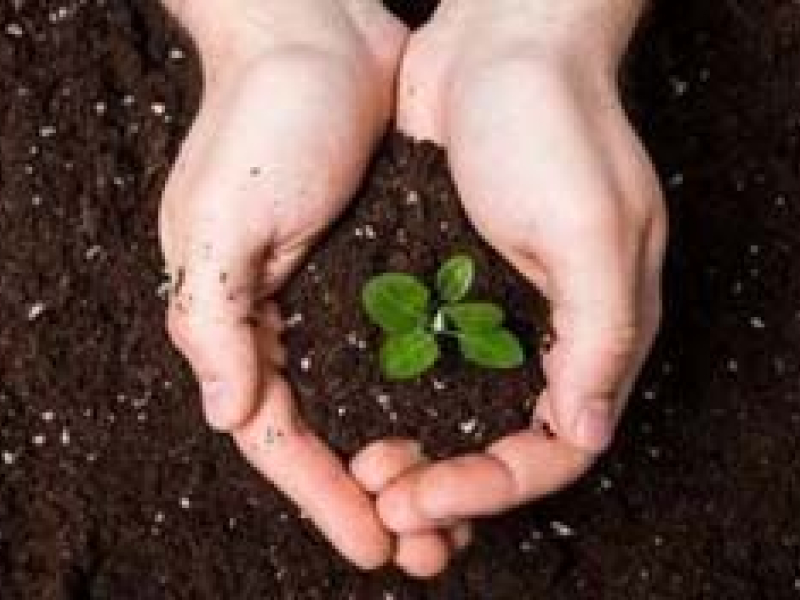 Terreau universel: savoir choisir la qualité! I JardinDéco