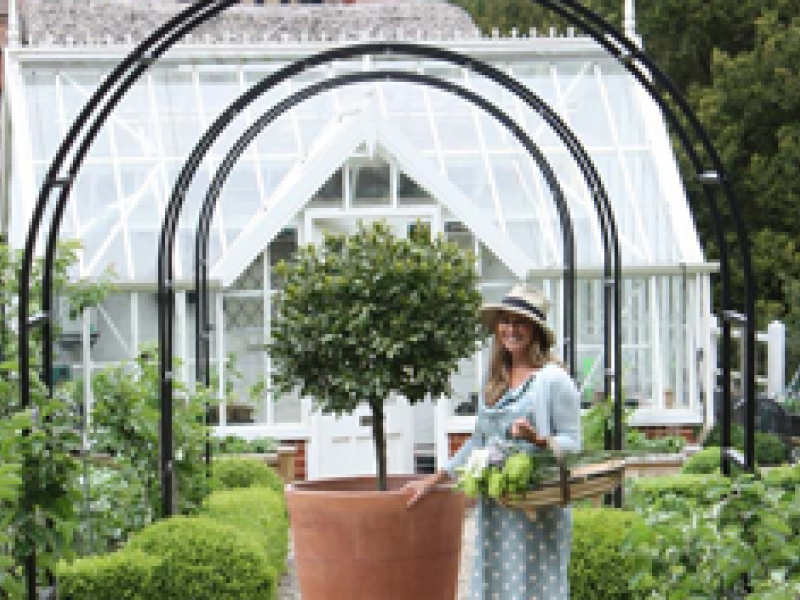 Structurez votre aménagement extérieur avec l'arche de jardin.