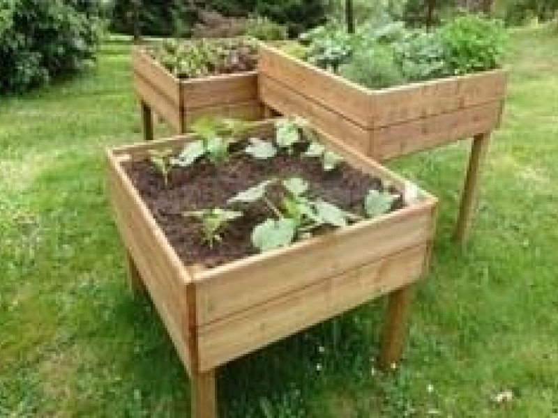 Préparer son potager : comment et à quelle période ?