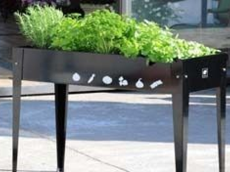 Potager d'appartement : comment faire son jardin en intérieur ?