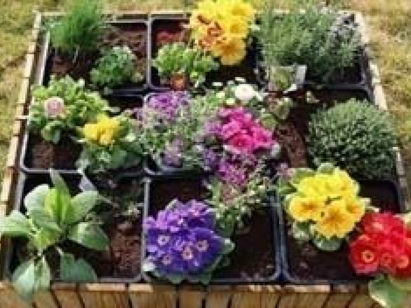 Carré potager et permaculture, comment s'y prendre ?