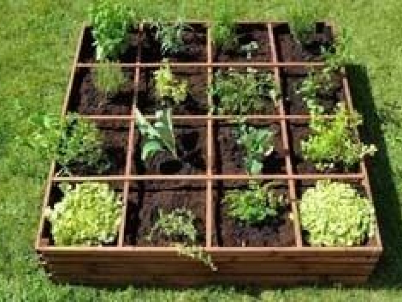 Découvrez tous nos carrés potagers en bois et leurs spécificités !