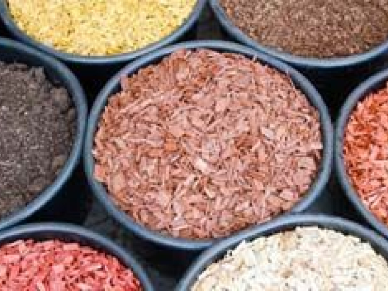 Tout savoir sur le paillage avec copeaux de bois.