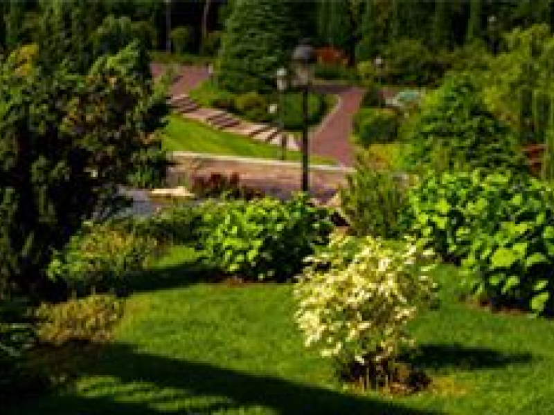 Réussir l'aménagement d'un jardin en pente.