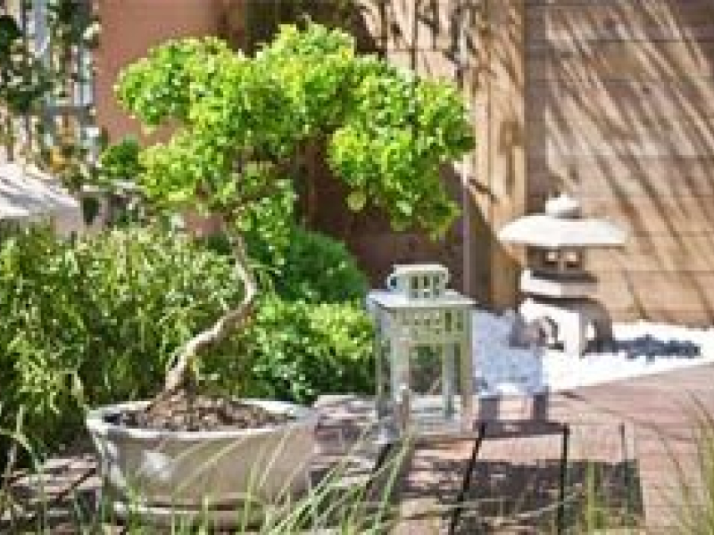Nos conseils pour créer un superbe aménagement jardin zen !