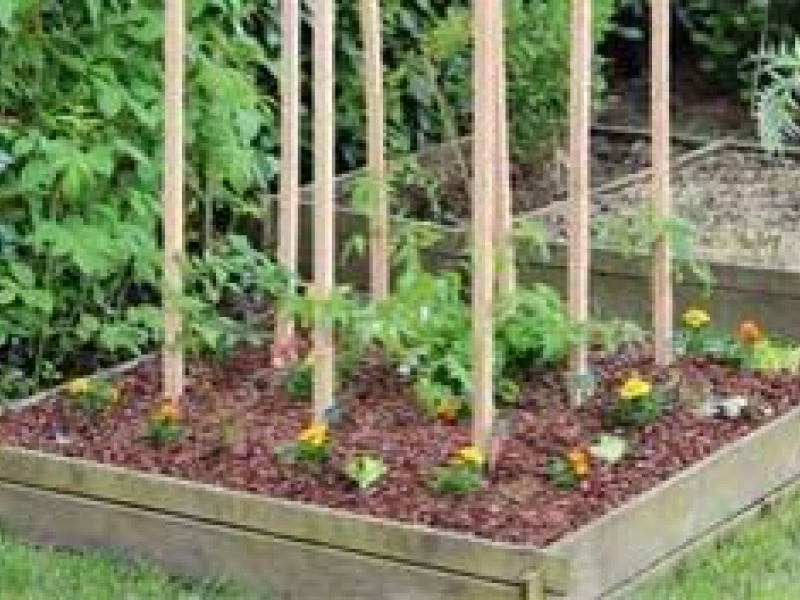 Paillage du potager, pourquoi et comment le faire ?