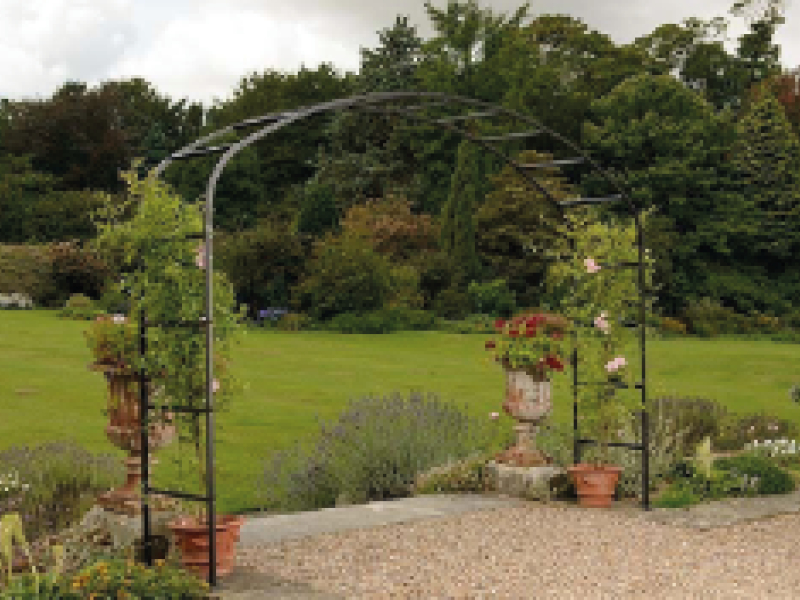 Le treillis de jardin : un support idéal pour sublimer vos plantes grimpantes