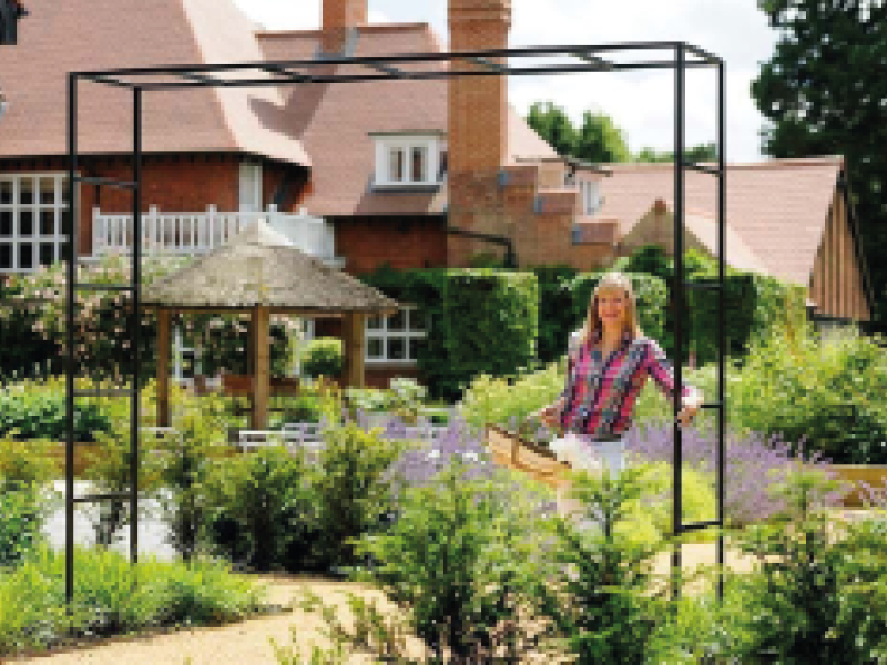 Arche en métal pour plantes grimpantes