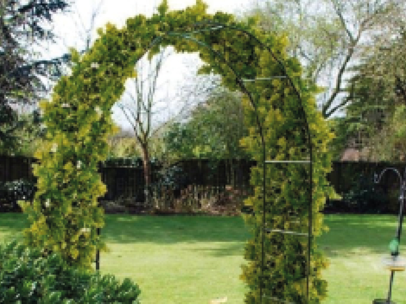 Arche de jardin pour plantes grimpantes : sublimer votre extérieur