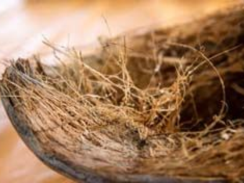 Paillis de coco : comment l'utiliser et pour quelles plantes ?
