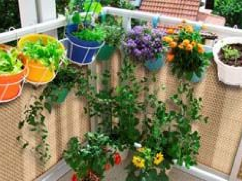 Quelles canisses de balcon choisir ?