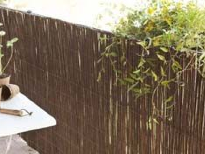 5 raisons d'opter pour une canisse en osier !