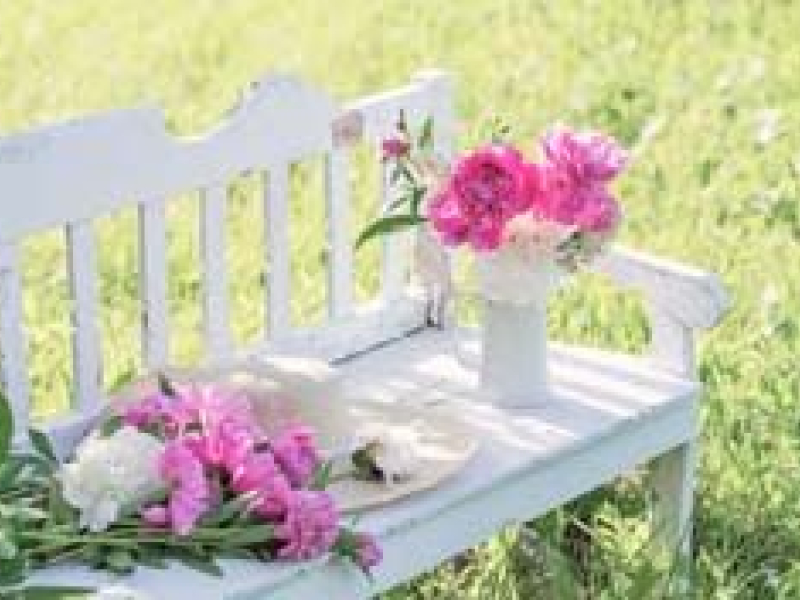 Banc de jardin en bois : l'intemporel qui a de la classe !
