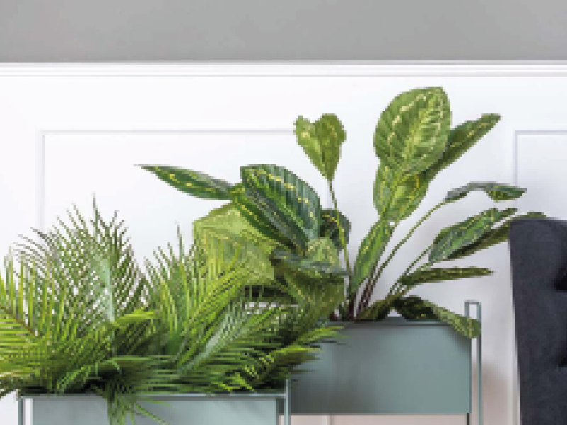 Salon jungle : nos 5 conseils pour une déco exotique réussie !