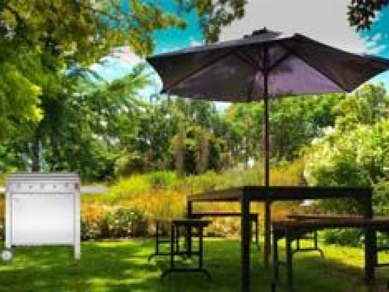 Pourquoi choisir une plancha gaz inox ?